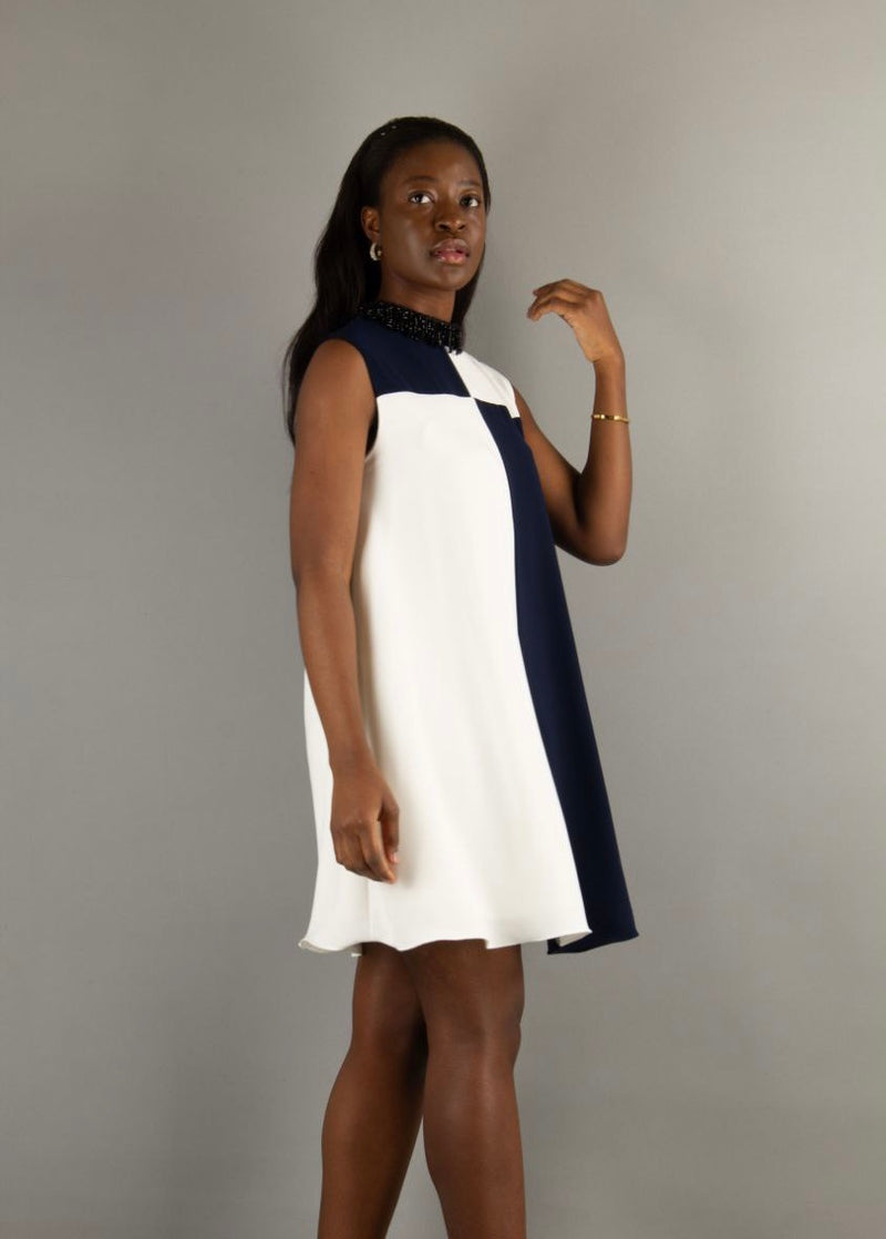 Layla Blue and White Contrast Dress