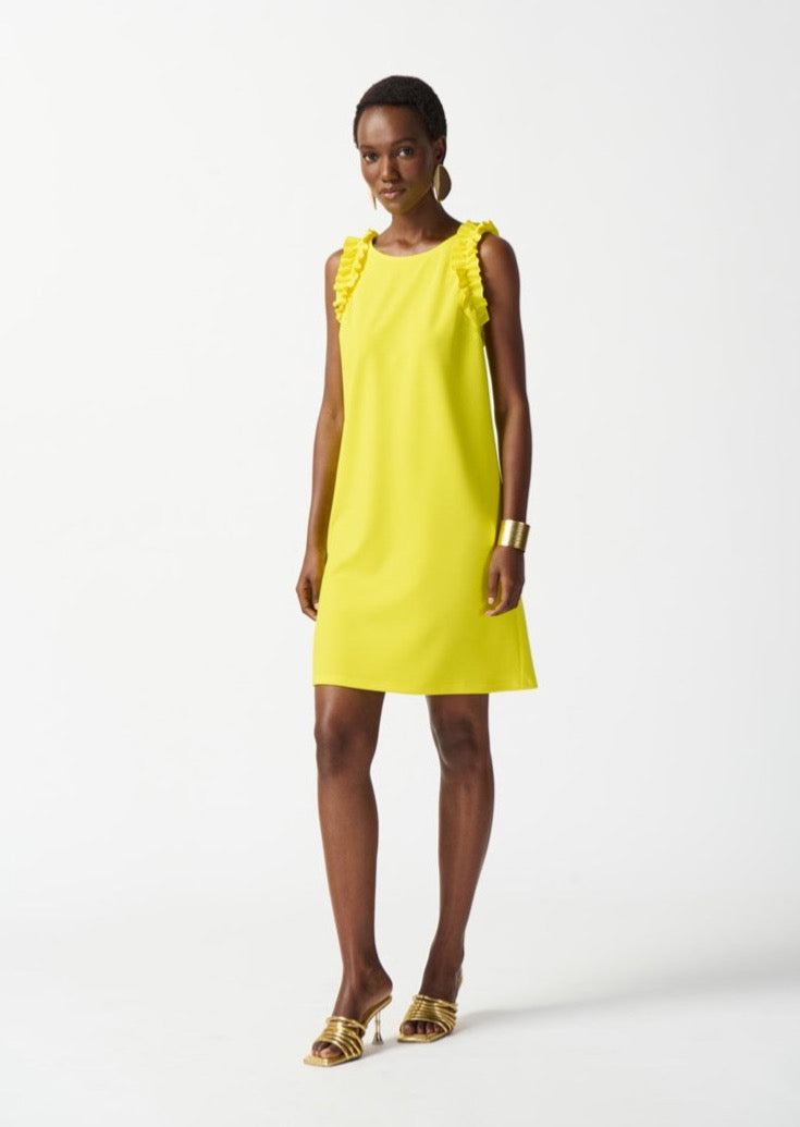 Belle - Joseph Ribkoff Scuba Crepe Sleeveless Straight Dress