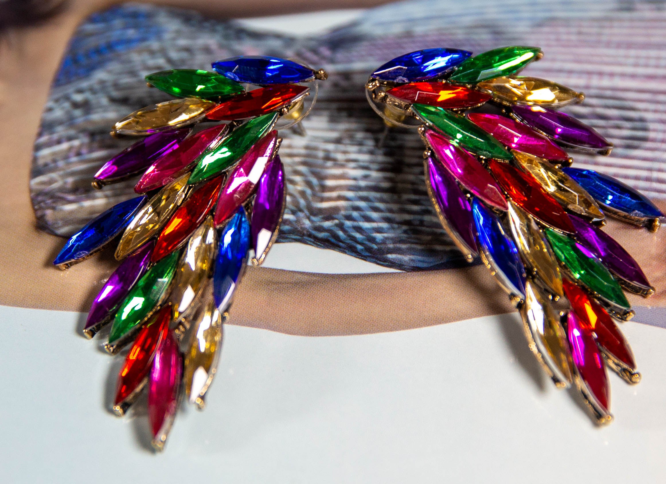 Eagle Wings Multicolour Earrings
