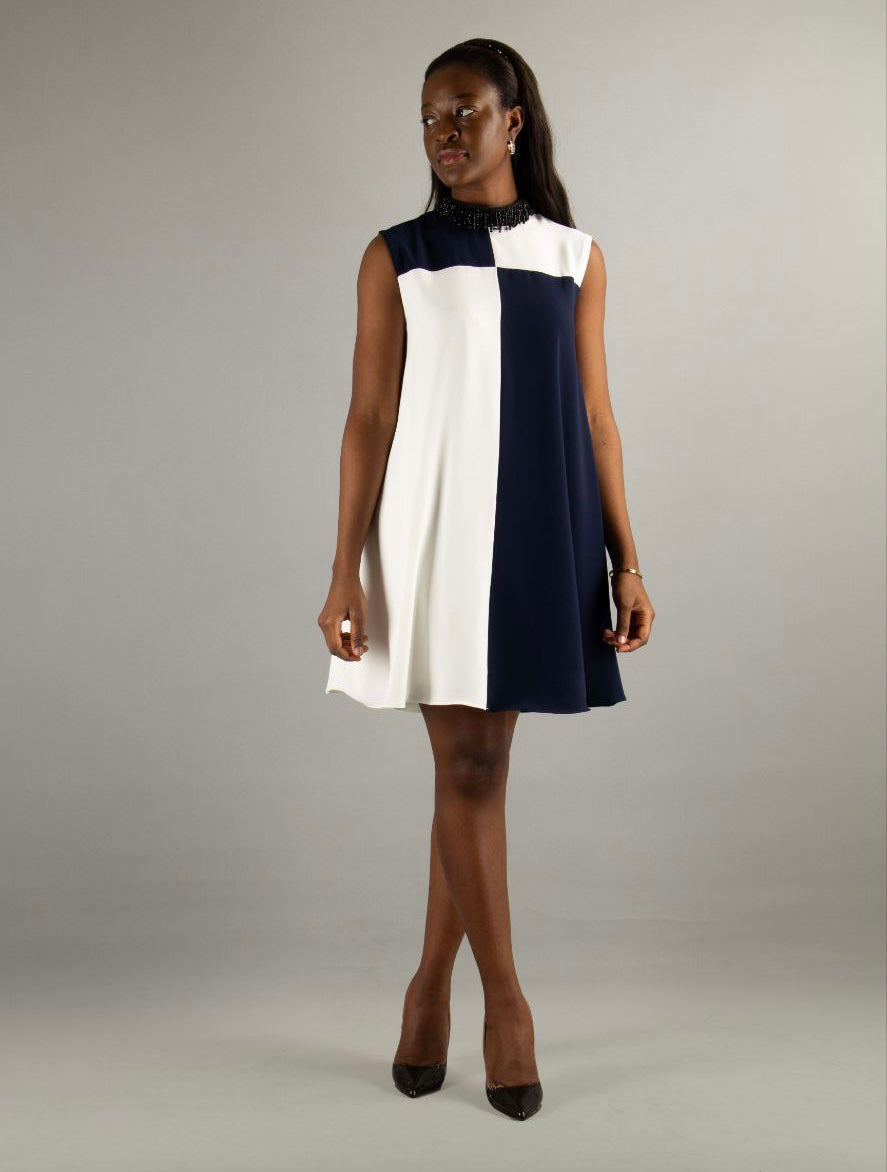 Layla Blue and White Contrast Dress