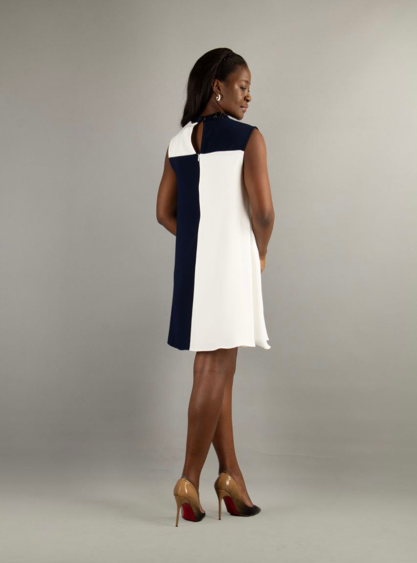 Layla Blue and White Contrast Dress